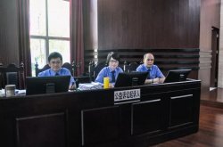 佛山市首例環(huán)境污染民事公益訴訟開審：要求企業(yè)承擔(dān)737萬(wàn)余元民事責(zé)任