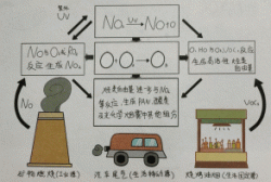 東鴻環(huán)保知識(shí)課堂25：近地面的O?，臭氧是如何形成的呢?